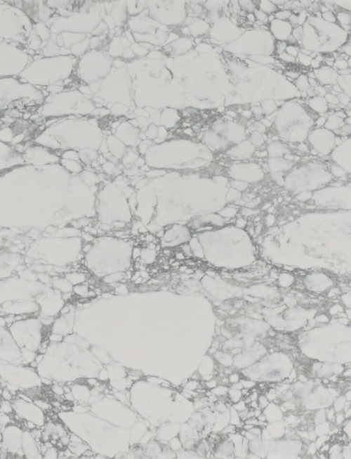 Arabescato Corchia | PV1019