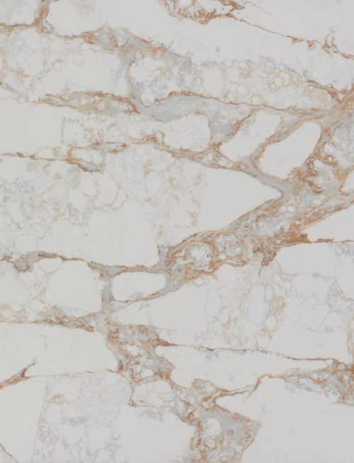 Oro Lusso | PV1011 image 1