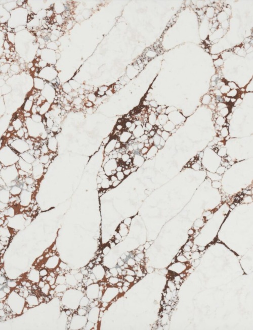 Viola Rosse | PV1012 image 1