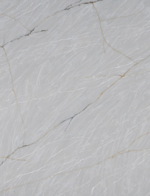 Eternal Silver | PV9005 Product