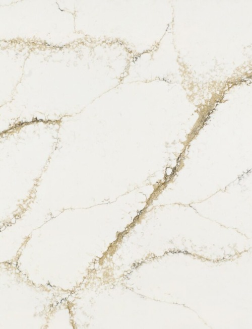 Roma Gold | PV5001 Product