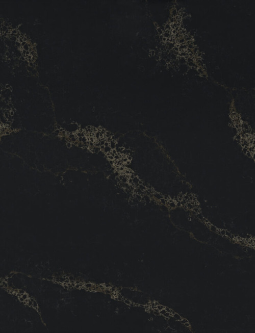 Black Swan | PV915 Product