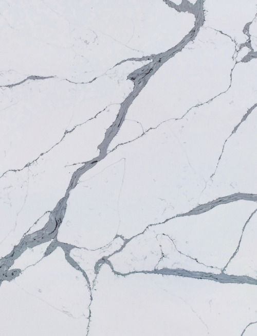 Classic Calacatta | PV555 Product