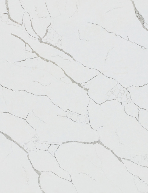 Statuario Enato | PV888 Product