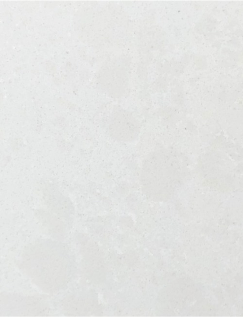 White Canvas | PV900 image 1