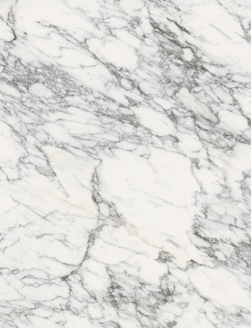 Bescato Vagli | PV2089