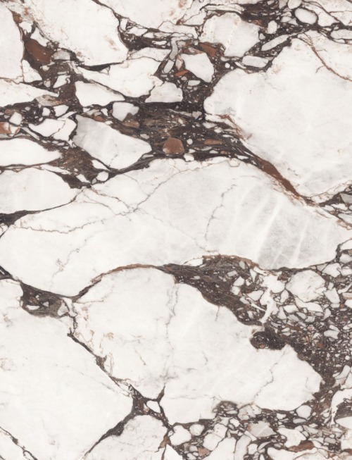 Calacatta Viola | PV2079