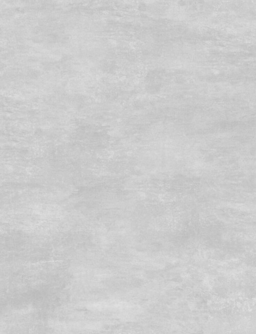 Cement Grey | PV2062 image 1