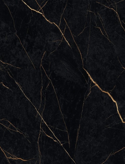 New Noir | PV2041 image 1