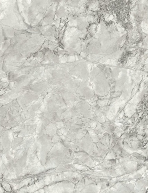 Super White | PV2081 image 1