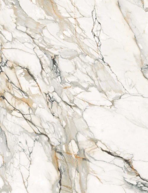 Calacatta Supreme | PV2039 image 1