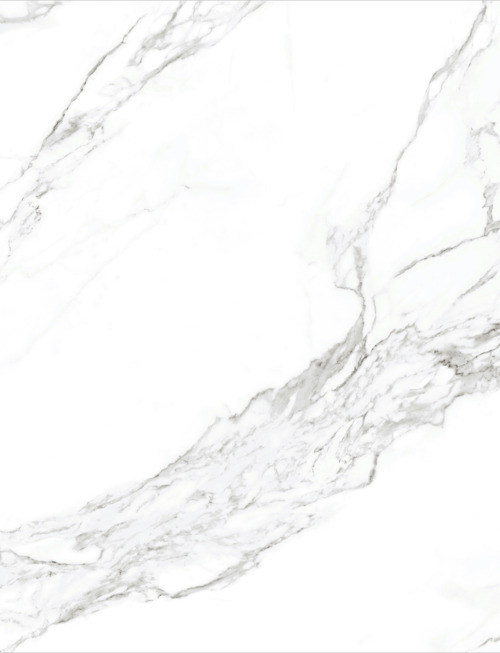 Calacatta Oro | PV2025 Product