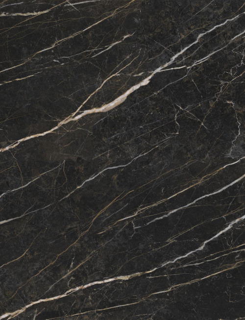 Noir | PV2041 Product