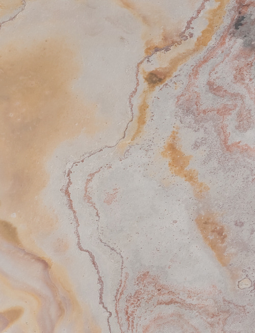 Rosa | PV0817 image 1